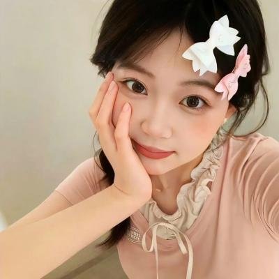 后续卢宫秘史